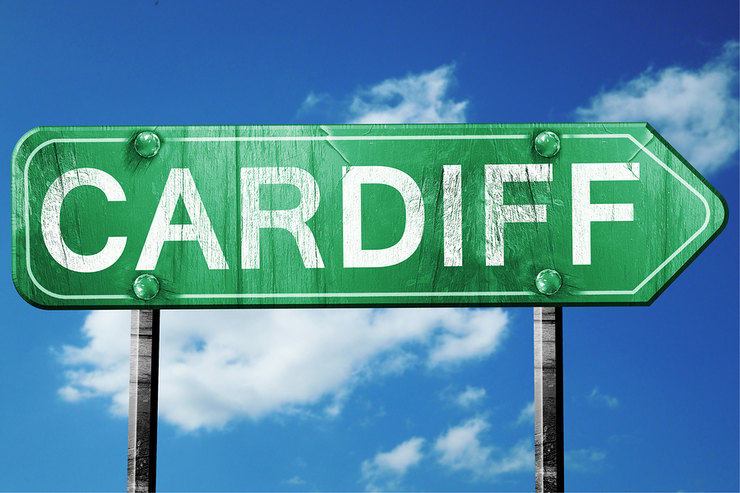 Will Cardiff Join Huddersfield and Fulham in the Championship for the 2019/20 Season?