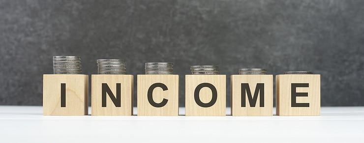 Income Wooden Blocks with Coin Stacks