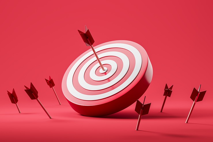 3D Target with a Single Arrow in the Bullseye